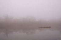 Morning Fog on Pottery Pond