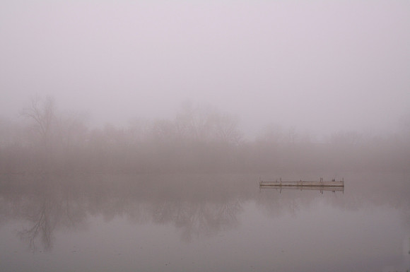 Morning Fog on Pottery Pond