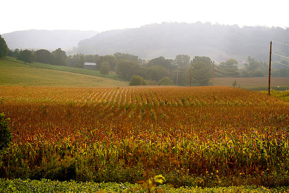Lehrbach Harvest