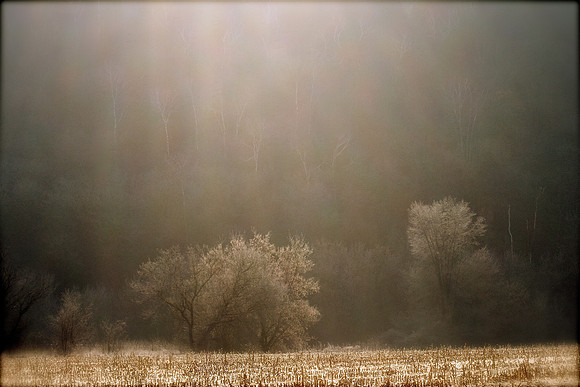 After the Harvest